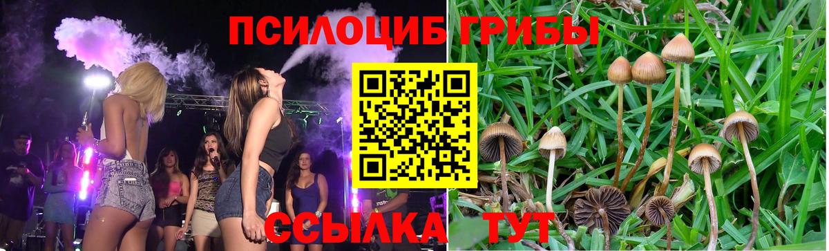 Псилоцибиновые грибы GOLDEN TEACHER Сыктывкар